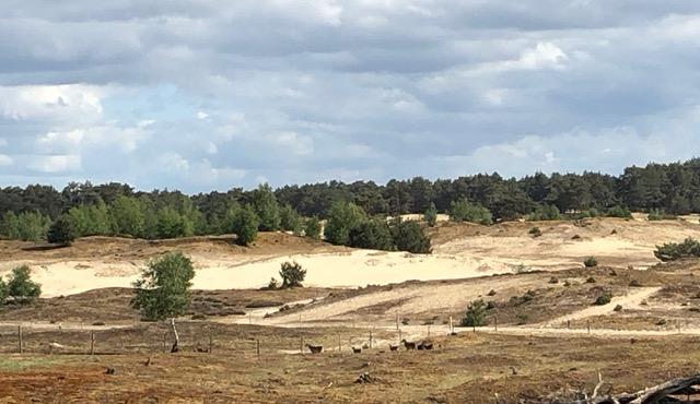 Lunters landschap